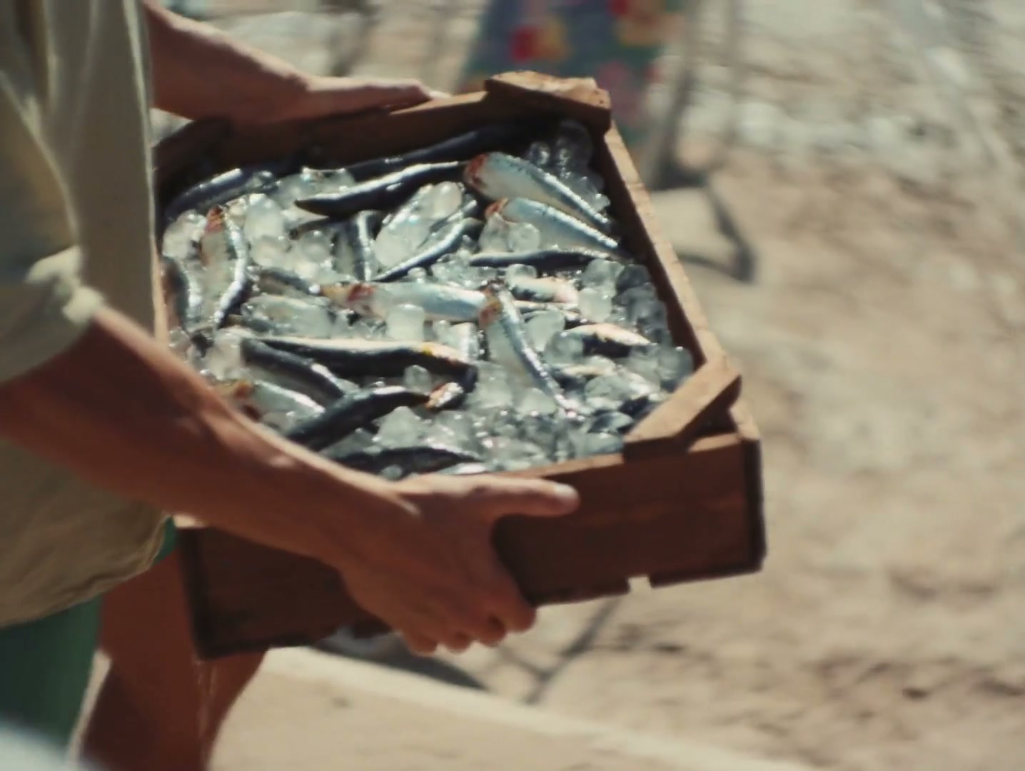 Una caja de pescado recién llegado al puerto